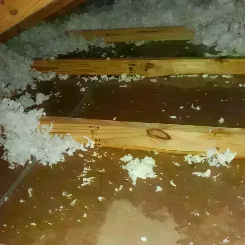 Attic Water Damage in Oakfield, NY